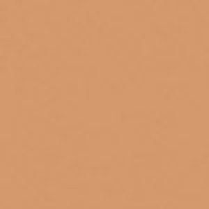 SANDERSON PAINT COPPER TONE  82